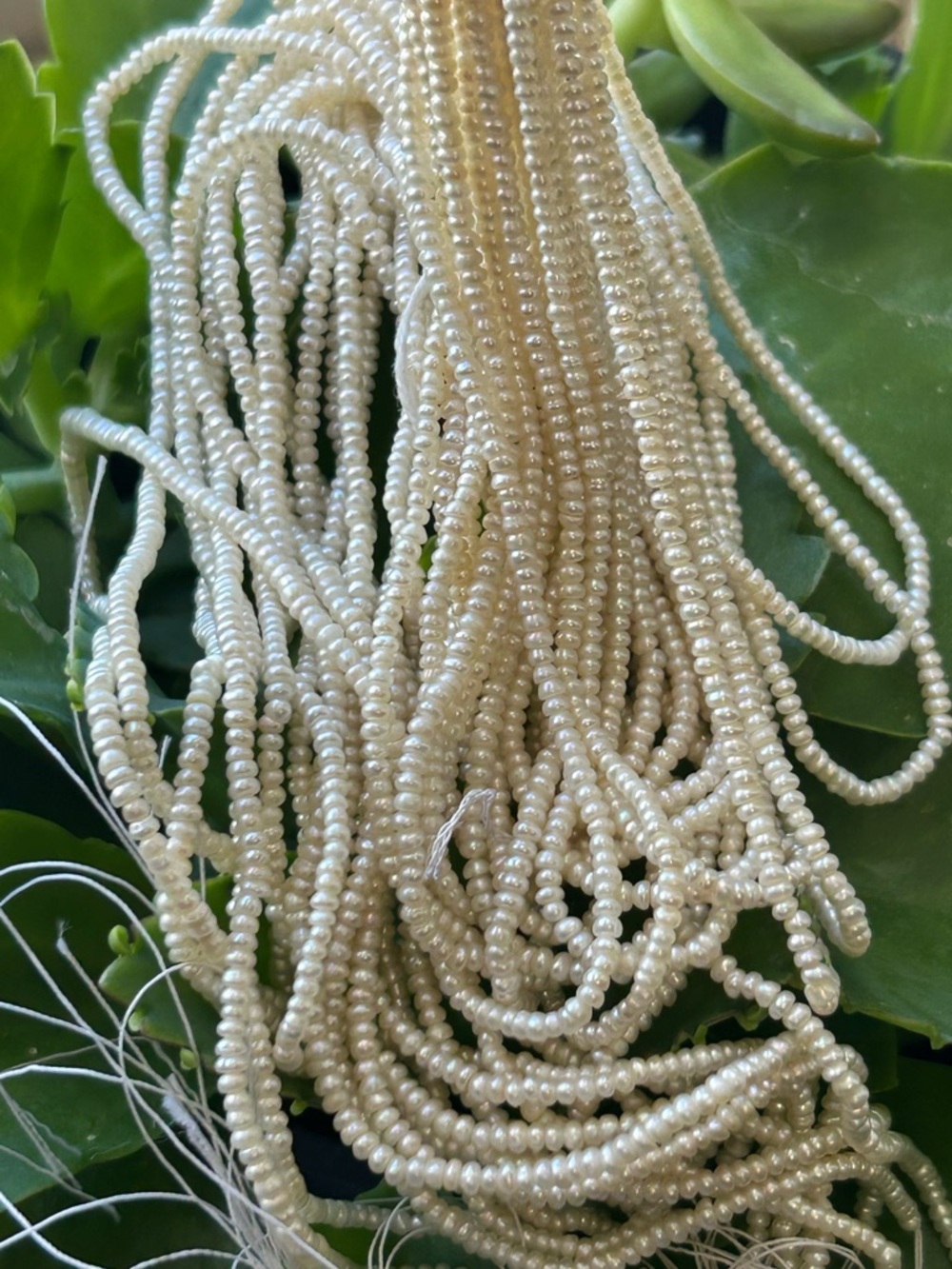 bundle 19 strands 2mm AAA Very Rare Natural White Tiny Seed Freshwater Pearl lot